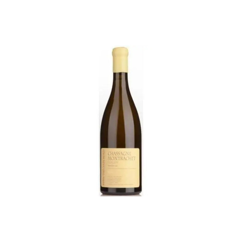 Pierre-Yves Colin-Morey - Chassagne-Montrachet 1er Cru 'Morgeot' - 2020