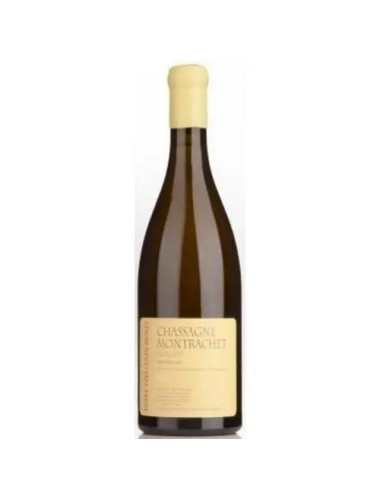 Pierre-Yves Colin-Morey - Chassagne-Montrachet 1er Cru 'Morgeot' - 2020
