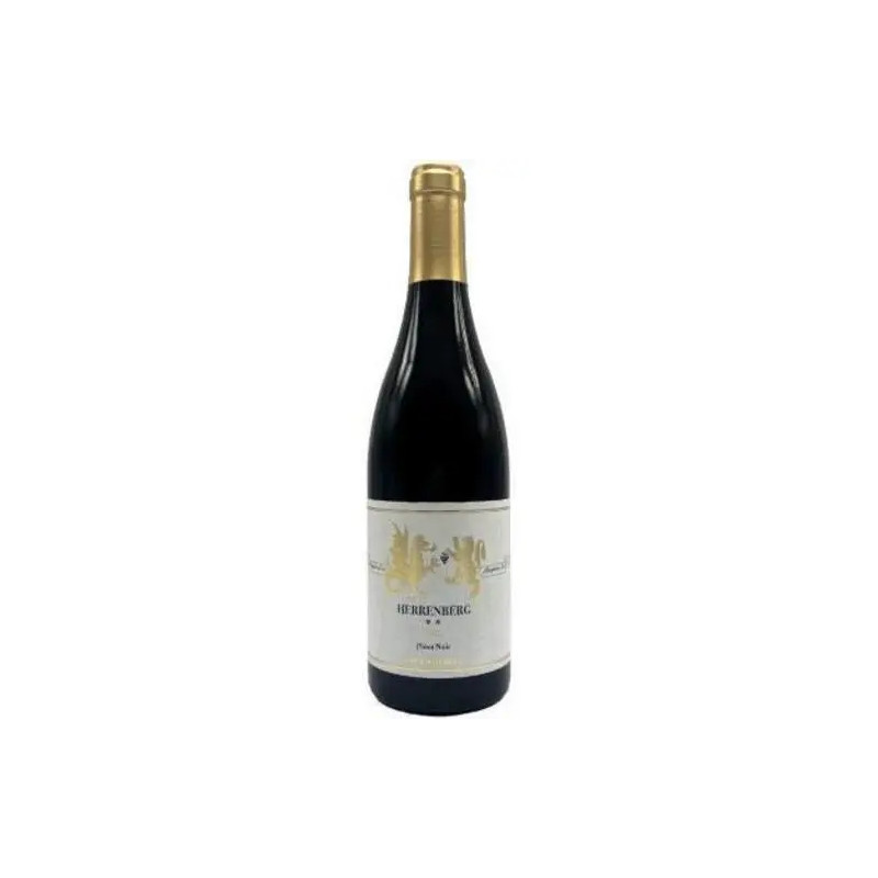 Gunther Steinmetz - Pinot Noir Kestener Herrenberg - 2019