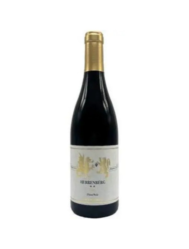 Gunther Steinmetz - Pinot Noir Kestener Herrenberg - 2019