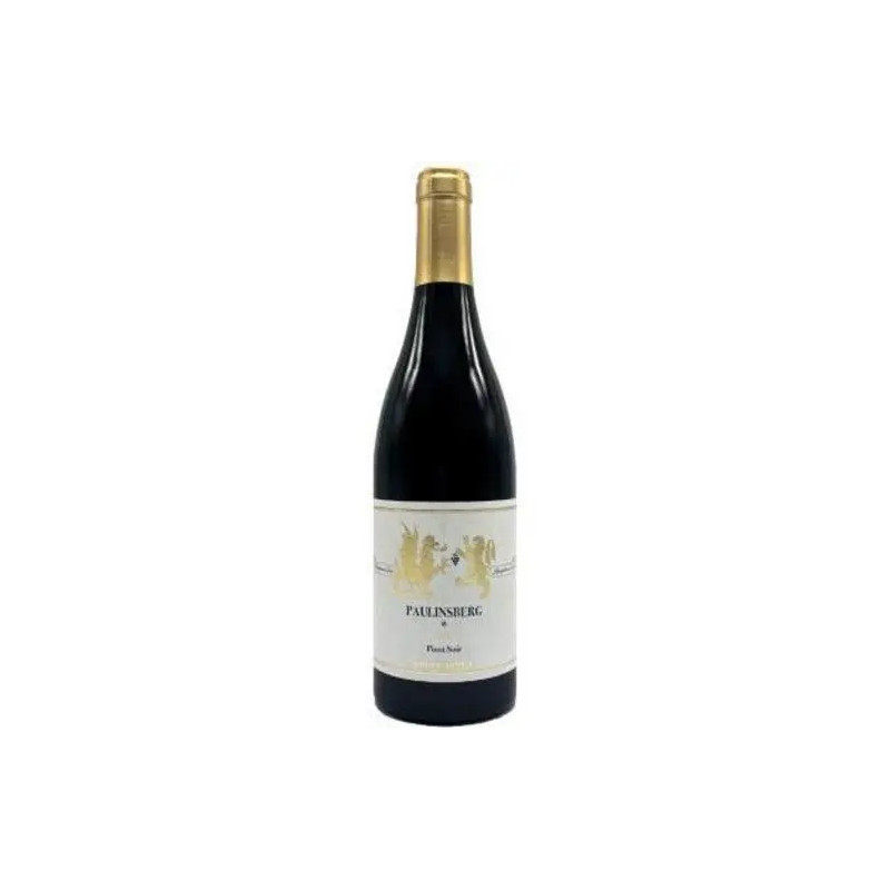 Gunther Steinmetz - Pinot Noir Kestener Paulinsberg - 2019
