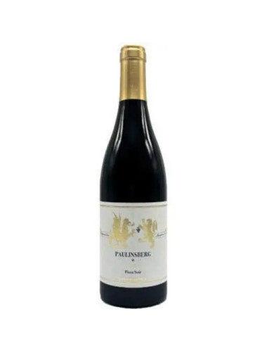 Gunther Steinmetz - Pinot Noir Kestener Paulinsberg - 2019