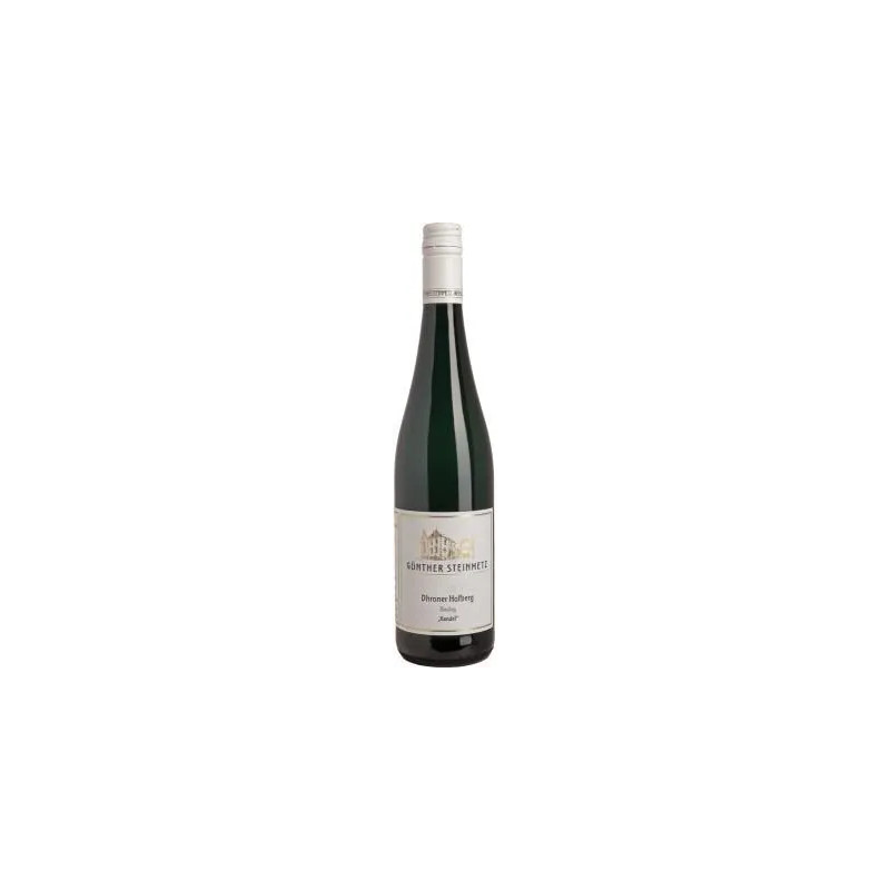 Gunther Steinmetz - Riesling Dhroner Hofberg 'Kandel' - 2021