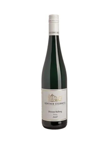 Gunther Steinmetz - Riesling Dhroner Hofberg 'Kandel' - 2021