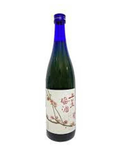 Hombo Shuzo Jousei Umeshu Private Bottling 720mL