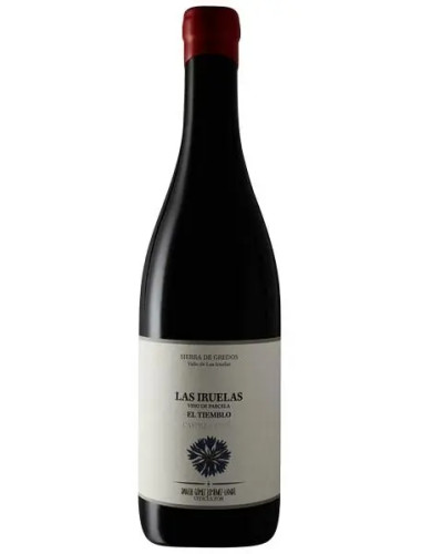 Daniel Gomez Jimenez-Landi - El Tiemblo 'Las Iruelas' Garnacha - 2019