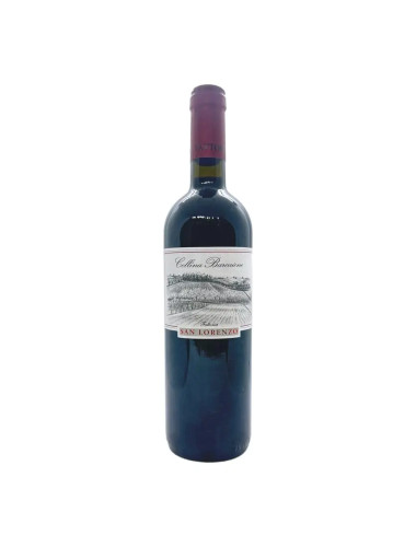 Fattoria San Lorenzo Collina Barcaione Montepulciano 2019 750mL