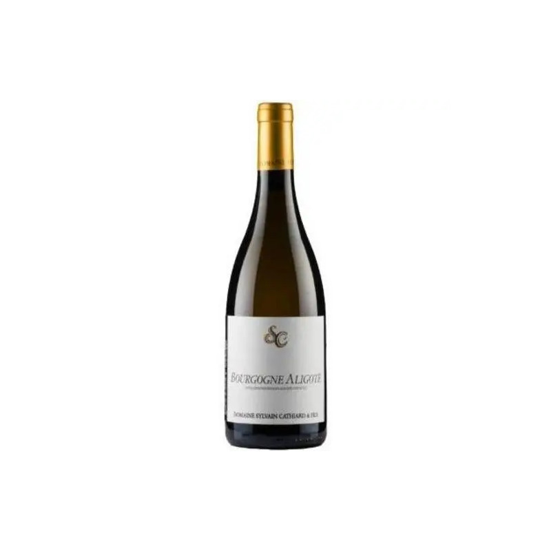Domaine Sylvain Cathiard - Bourgogne Aligote - 2022