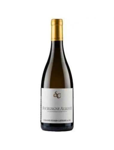 Domaine Sylvain Cathiard - Bourgogne Aligote - 2022