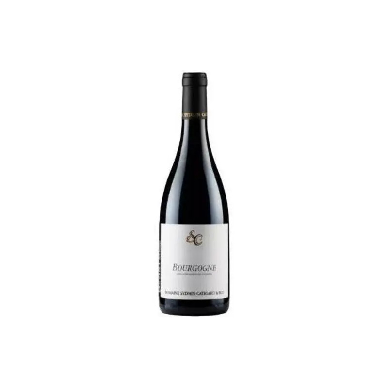 Domaine Sylvain Cathiard - Bourgogne Rouge - 2021