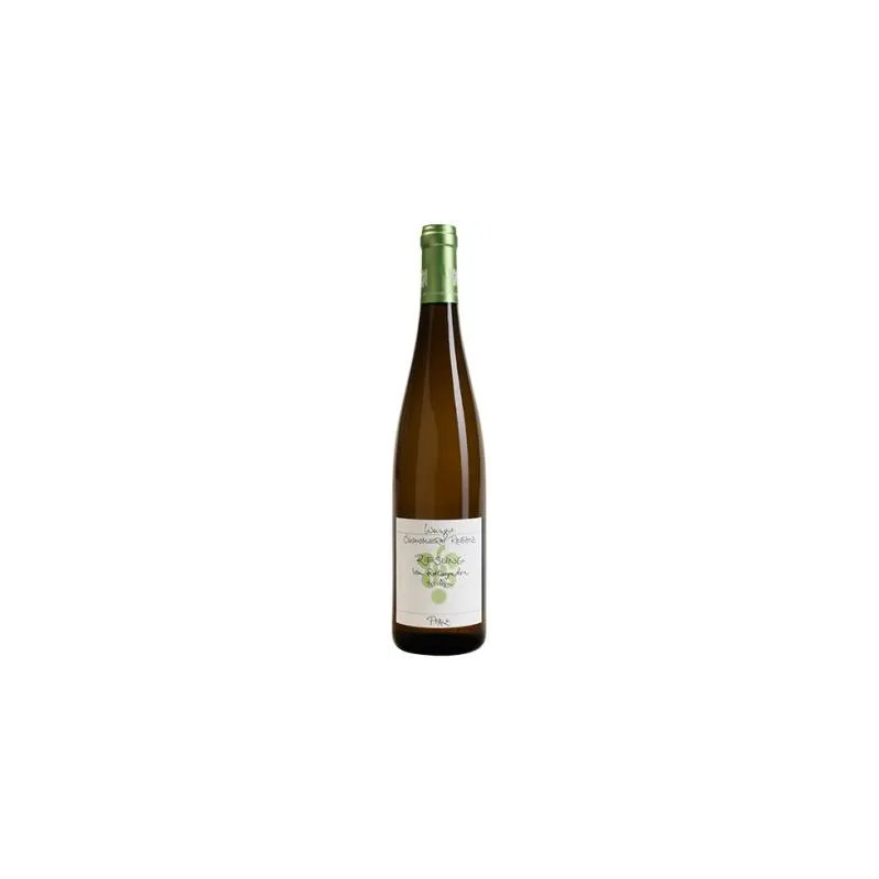 Weingut Okonomierat Rebholz - Riesling 'Vom Rotliegenden' Trocken - 2020