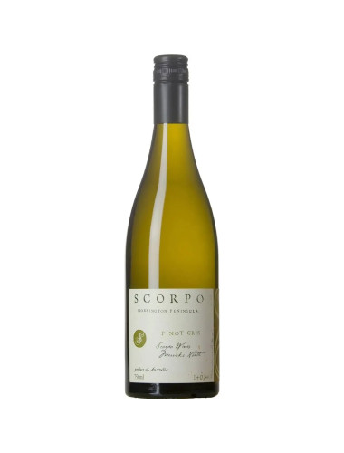 Scorpo Pinot Gris 2023 750ml