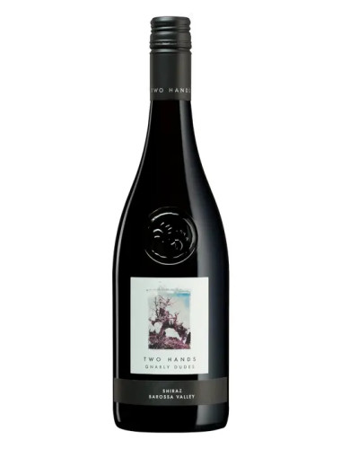 Two Hands Gnarly Dudes Shiraz 750ml
