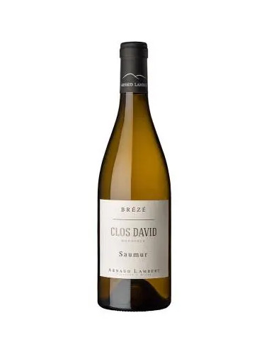 Arnaud Lambert - Saumur Blanc Breze 'Clos David' Monopole - 2021