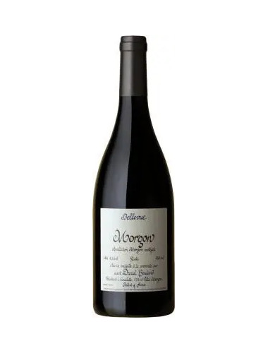 Daniel Bouland - Morgon 'Bellevue' Sable - 2022 - Magnum
