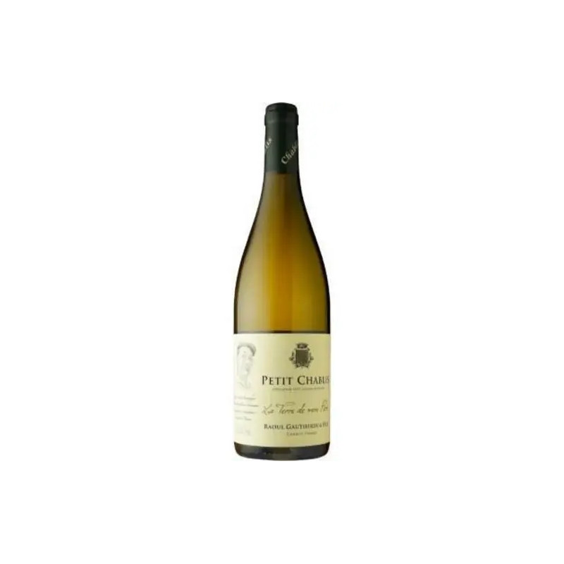 Domaine Alain et Adrien Gautherin - Petit Chablis - 2022