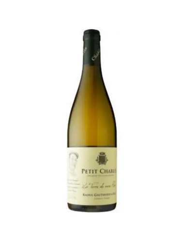 Domaine Alain et Adrien Gautherin - Petit Chablis - 2022