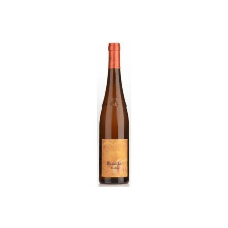 Keller - Riesling Dalsheim Oberer Hubacker Trocken GG - 2022