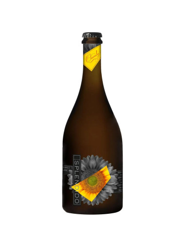 Quealy Secco Spendido 2022