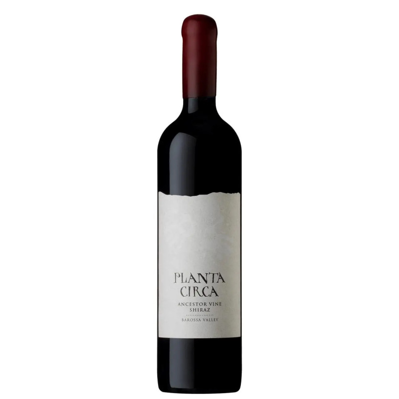 Planta Circa Ancestor Vine Shiraz 2019 750ml