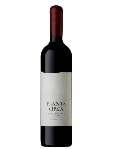 Planta Circa Ancestor Vine Shiraz 2019 750ml