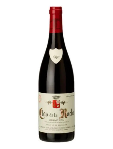 Domaine Armand Rousseau - Clos de la Roche Grand Cru - 2021