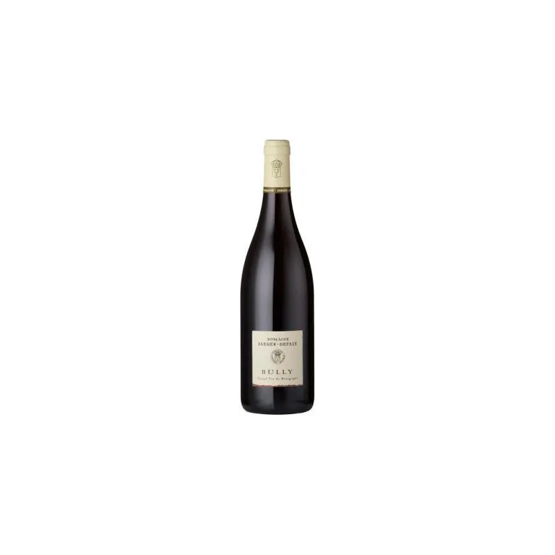 Domaine Jaeger-Defaix - Rully Rouge - 2022