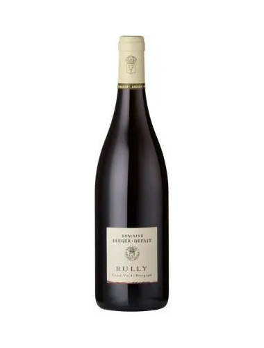Domaine Jaeger-Defaix - Rully Rouge - 2022