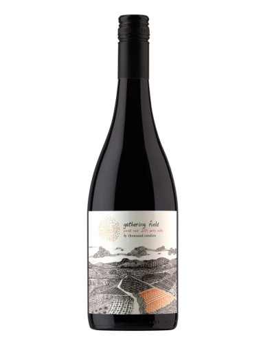 Thousand Candles Gather Pinot Noir