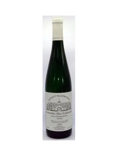 Hofgut Falkenstein - Riesling Ober Schafershaus Spatlese Trocken - 2020