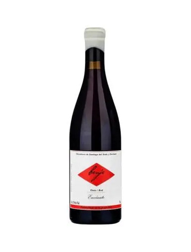Envinate - Benje Tinto Listan Prieto - 2022