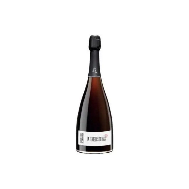 Champagne Alexis - Extra Brut 'La Terre Coteas' - 0