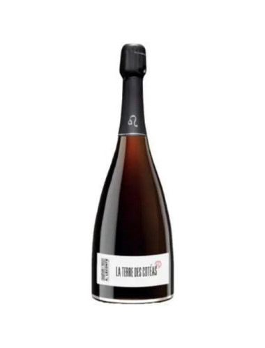 Champagne Alexis - Extra Brut 'La Terre Coteas' - 0