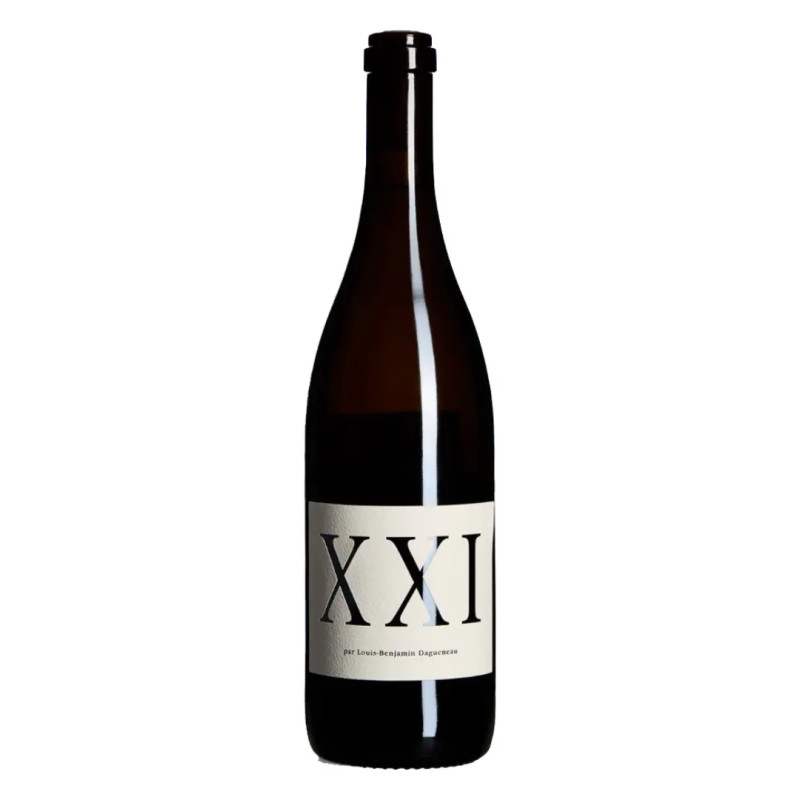 Didier Dagueneau - Vin de France 'Louis Benjamin XXI' - 2021