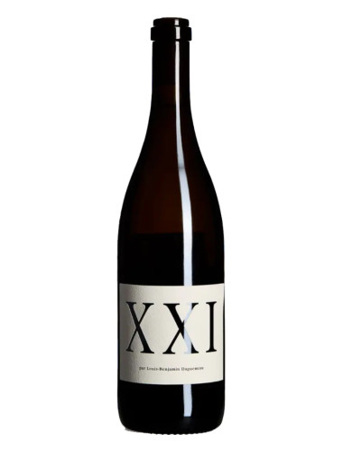 Didier Dagueneau - Vin de France 'Louis Benjamin XXI' - 2021