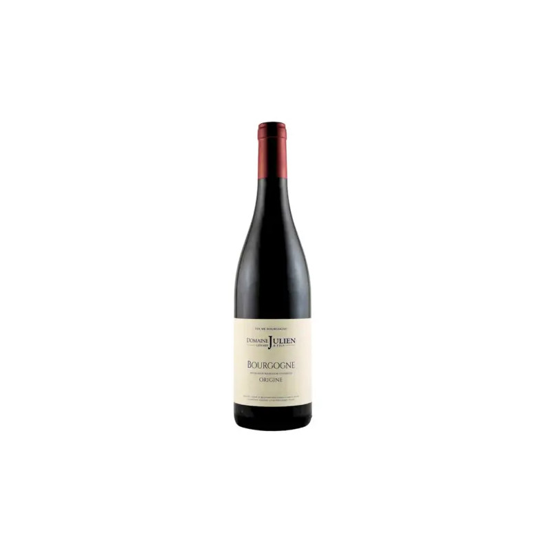 Domaine Gerard Julien & Fils - Bourgogne Rouge - 2022