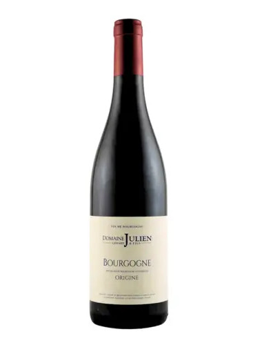 Domaine Gerard Julien & Fils - Bourgogne Rouge - 2022