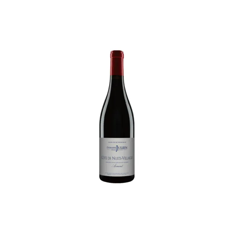 Domaine Gerard Julien & Fils - Cote de Nuits-Villages Rouge 'Armand' - 2022