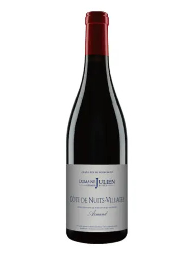 Domaine Gerard Julien & Fils - Cote de Nuits-Villages Rouge 'Armand' - 2022