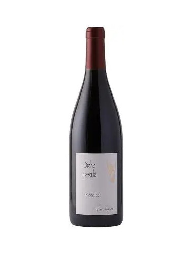 Domaine Naudin-Ferrand Claire Naudin - Hautes-Cotes de Beaune Rouge 'Orchis Mascula' - 2022