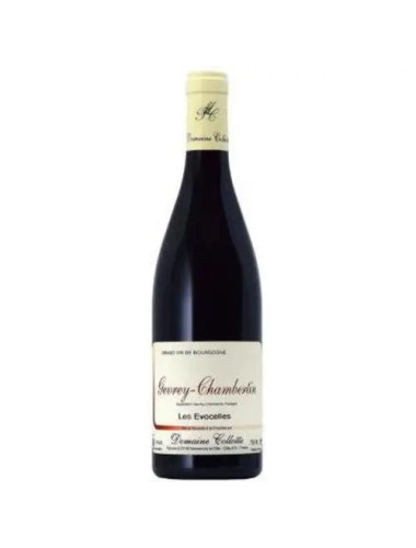 Domaine Collotte - Gevrey-Chambertin 'Les Evocelles' - 2022