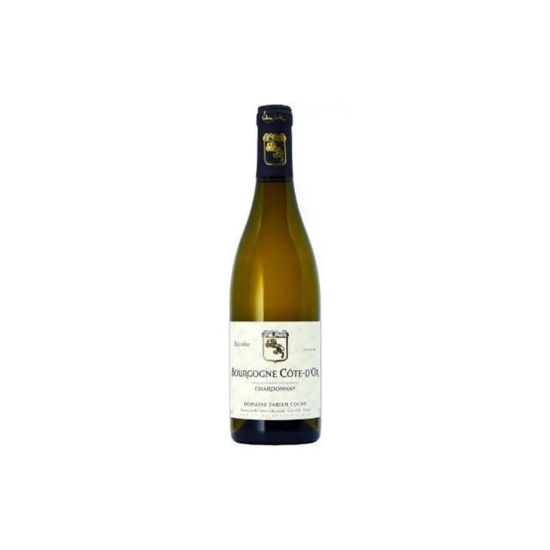 Domaine Fabien Coche - Bourgogne Blanc - 2022