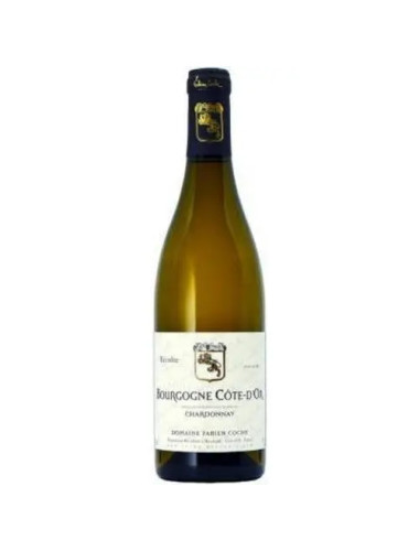 Domaine Fabien Coche - Bourgogne Blanc - 2022