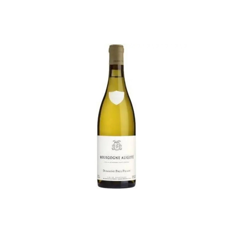Domaine Paul Pillot - Bourgogne Aligote - 2022