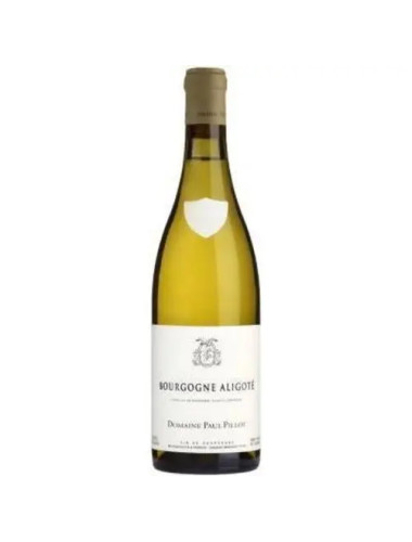 Domaine Paul Pillot - Bourgogne Aligote - 2022