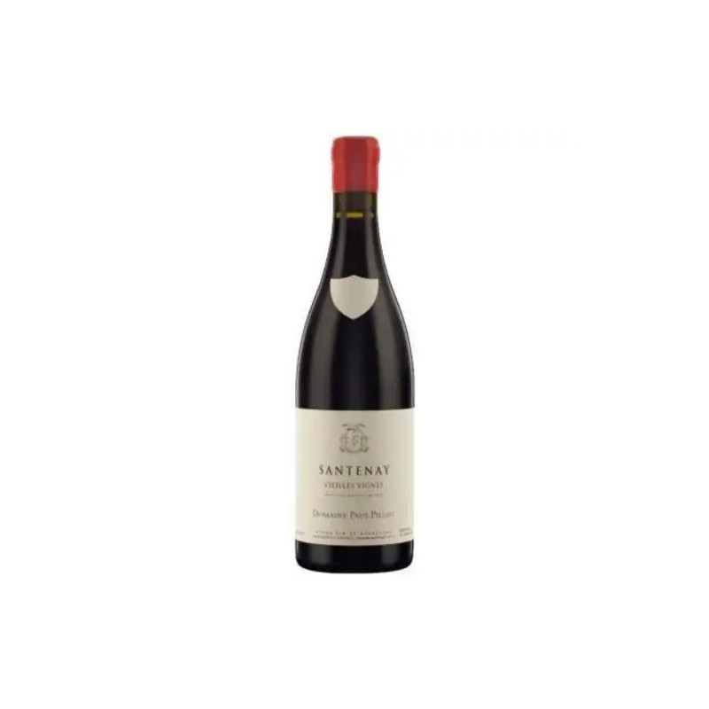 Domaine Paul Pillot - Santenay V.V - 2022