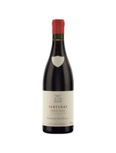 Domaine Paul Pillot - Santenay V.V - 2022
