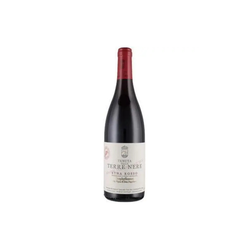Tenuta delle Terre Nere - Etna Rosso 'La Vigna di Don Peppino' DOC - 2022