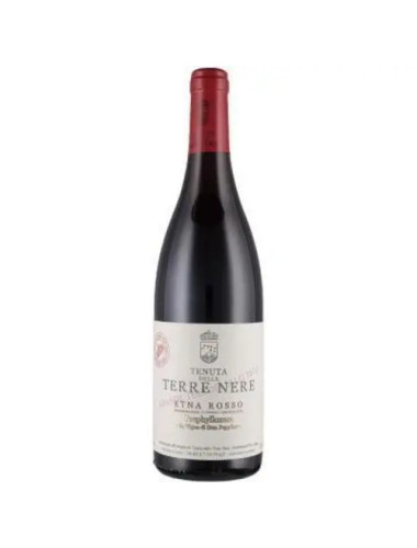 Tenuta delle Terre Nere - Etna Rosso 'La Vigna di Don Peppino' DOC - 2022