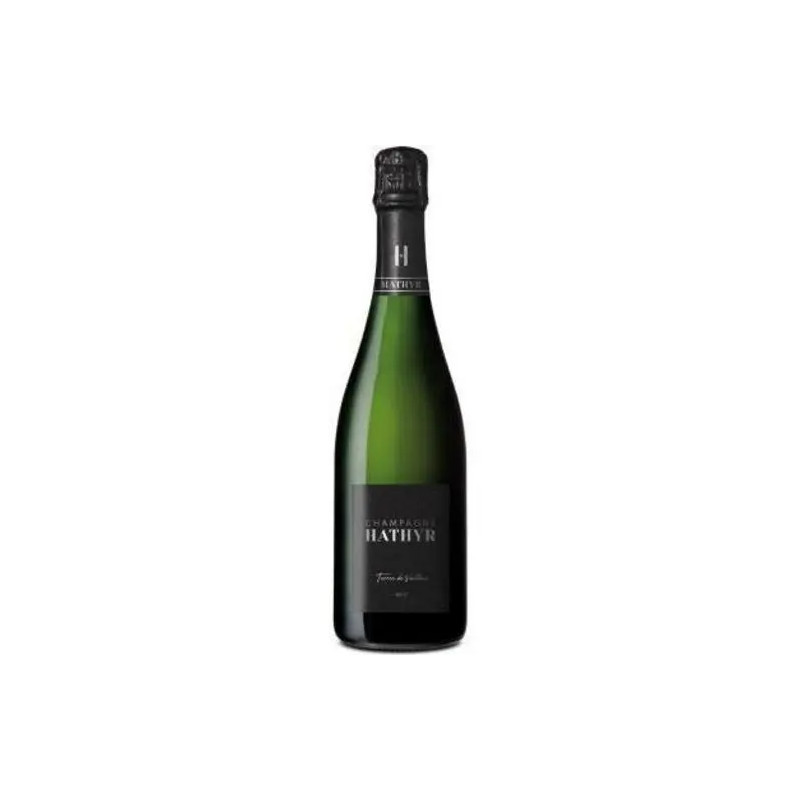 Champagne Hathyr - Brut 'Terre de Vallees' - 0